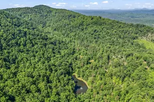 980 Mountain Forest Dr, Union Mills, NC 28167 - Photo 39