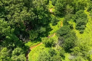 955 Bramlett Rd, Laurens, SC 29360 - Photo 43