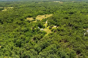 955 Bramlett Rd, Laurens, SC 29360 - Photo 41