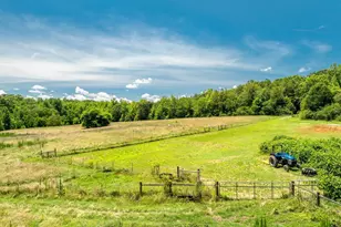 955 Bramlett Rd, Laurens, SC 29360 - Photo 5