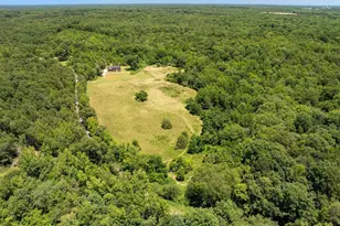 955 Bramlett Rd, Laurens, SC 29360 - Photo 37