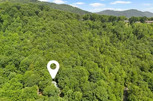 56 Cardinal Cir, Tryon, NC 28782 - Photo 33