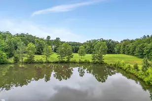 1527 S Blackstock Rd, Landrum, SC 29356 - Photo 21