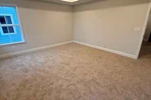 20 Gressette Pl, Simpsonville, SC 29681 - Photo 13