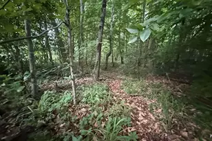 128 Willys Creek Cir, Pickens, SC 29671 - Photo 45