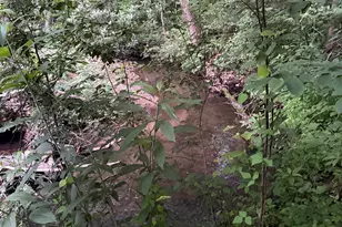 128 Willys Creek Cir, Pickens, SC 29671 - Photo 45