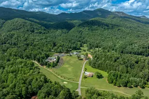 128 Willys Creek Cir, Pickens, SC 29671 - Photo 39