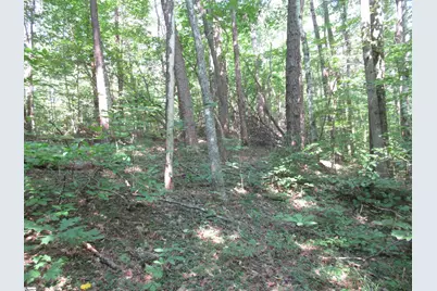 00 Gauley Falls Road #Lot 13 Gauley Falls, Pickens, SC 29671 - Photo 5