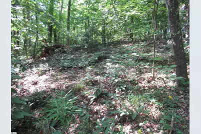 00 Gauley Falls Road #Lot 13 Gauley Falls, Pickens, SC 29671 - Photo 3