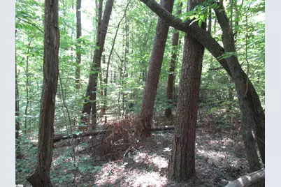 00 Gauley Falls Road #Lot 13 Gauley Falls, Pickens, SC 29671 - Photo 13