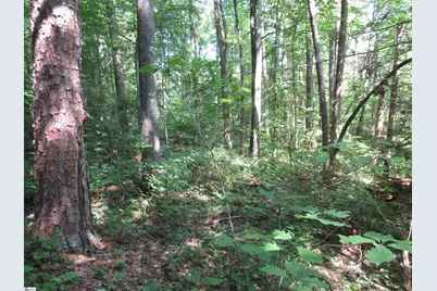 00 Gauley Falls Road #Lot 13 Gauley Falls, Pickens, SC 29671 - Photo 17