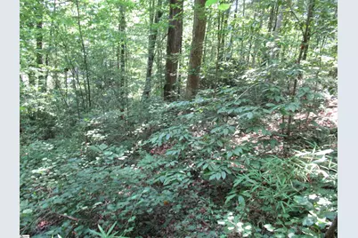 00 Gauley Falls Road #Lot 13 Gauley Falls, Pickens, SC 29671 - Photo 7
