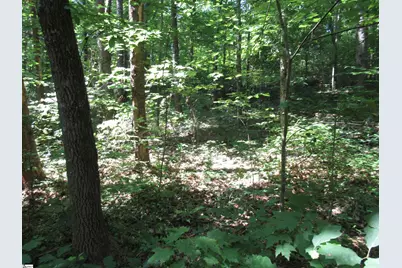 00 Gauley Falls Road #Lot 15 Gauley Falls, Pickens, SC 29671 - Photo 17