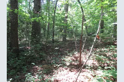 00 Gauley Falls Road #Lot 15 Gauley Falls, Pickens, SC 29671 - Photo 11