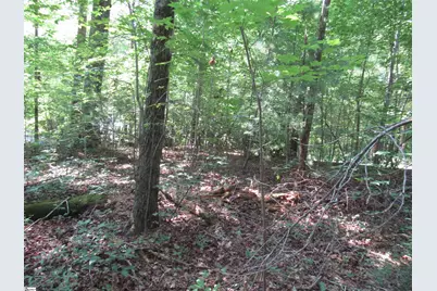 00 Gauley Falls Road #Lot 15 Gauley Falls, Pickens, SC 29671 - Photo 3