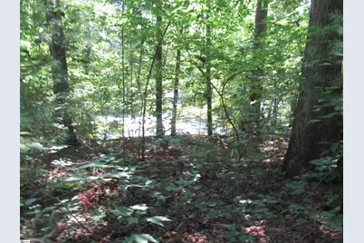 00 Gauley Falls Road #Lot 15 Gauley Falls, Pickens, SC 29671 - Photo 5