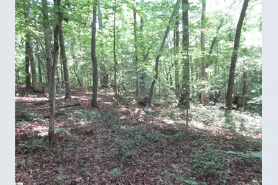 205 Gauley Falls Road, Pickens, SC 29671 - Photo 1