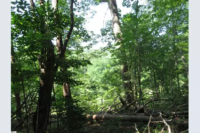 205 Gauley Falls Road, Pickens, SC 29671 - Photo 17