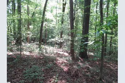 205 Gauley Falls Road, Pickens, SC 29671 - Photo 15