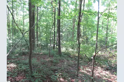 205 Gauley Falls Road, Pickens, SC 29671 - Photo 13