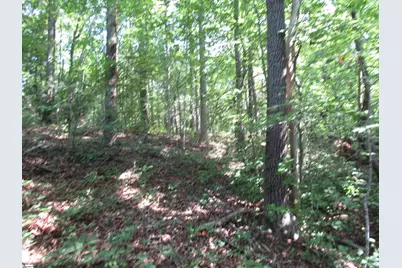 205 Gauley Falls Road, Pickens, SC 29671 - Photo 7