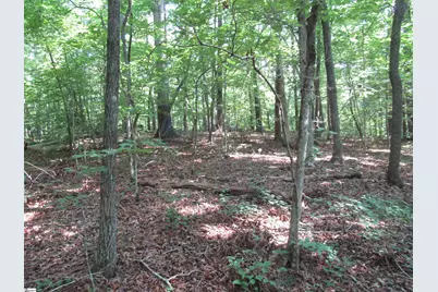 205 Gauley Falls Road, Pickens, SC 29671 - Photo 3