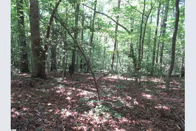 205 Gauley Falls Road, Pickens, SC 29671 - Photo 19