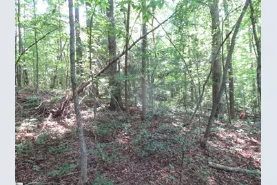 205 Gauley Falls Road, Pickens, SC 29671 - Photo 11