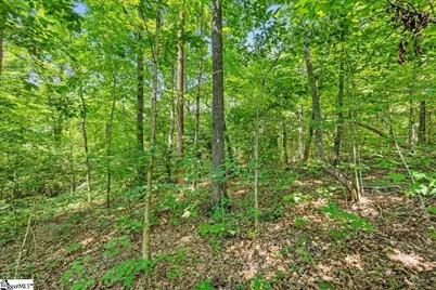 14 Alsace Way, Travelers Rest, SC 29690 - Photo 13