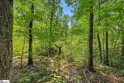 14 Alsace Way, Travelers Rest, SC 29690 - Photo 11