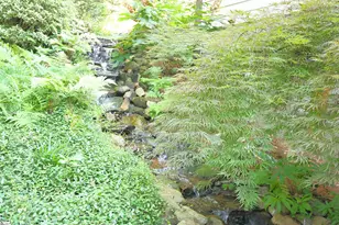 294 Hollis Dr, Spartanburg, SC 29307 - Photo 5