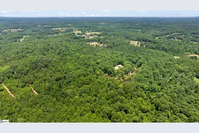 360 Terry Road, Fountain Inn, SC 29644 - Photo 37