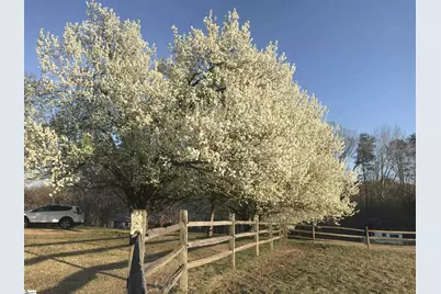 315, 317, 319 Gibson Road, Landrum, SC 29356 - Photo 5