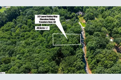 317 Laurel Valley Way, Travelers Rest, SC 29690 - Photo 9