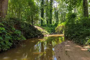 313 Haverhill Cir, Easley, SC 29640 - Photo 5