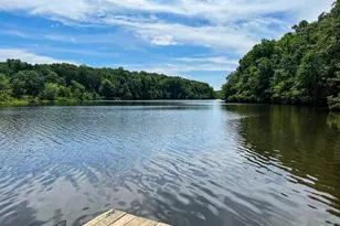 239 Ivy Woods Ct, Fountain Inn, SC 29644 - Photo 49