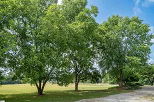 312 Lister Rd, Landrum, SC 29356 - Photo 37