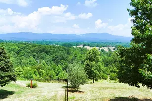 1934 Pleasant Hill Rd, Greer, SC 29651 - Photo 45