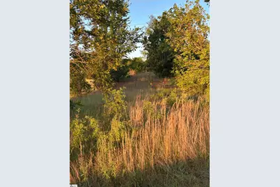 7631 Highway 11, Campobello, SC 29322 - Photo 5