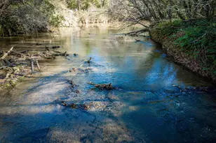 635 Dacusville Rd, Marietta, SC 29661 - Photo 41