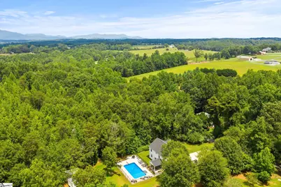 299 Nodine Road, Campobello, SC 29322 - Photo 43