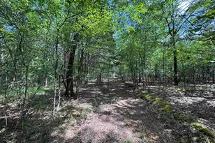 1324 Hwy 81 N, Calhoun Falls, SC 29628 - Photo 27