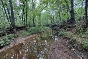 1324 Hwy 81 N, Calhoun Falls, SC 29628 - Photo 35