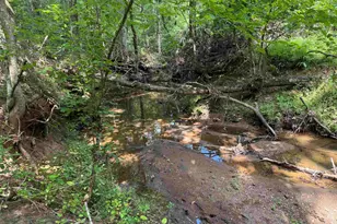 1324 Hwy 81 N, Calhoun Falls, SC 29628 - Photo 37
