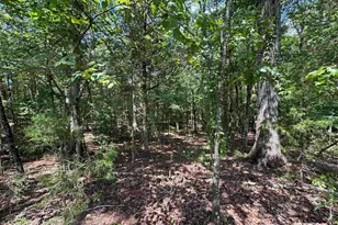 1324 Hwy 81 N, Calhoun Falls, SC 29628 - Photo 17