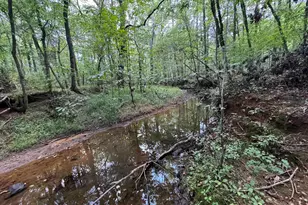 1324 Hwy 81 N, Calhoun Falls, SC 29628 - Photo 31