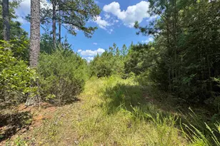 1324 Hwy 81 N, Calhoun Falls, SC 29628 - Photo 21