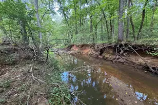 1324 Hwy 81 N, Calhoun Falls, SC 29628 - Photo 33