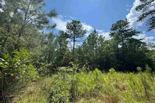 1324 Hwy 81 N, Calhoun Falls, SC 29628 - Photo 23