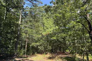 1324 Hwy 81 N, Calhoun Falls, SC 29628 - Photo 9